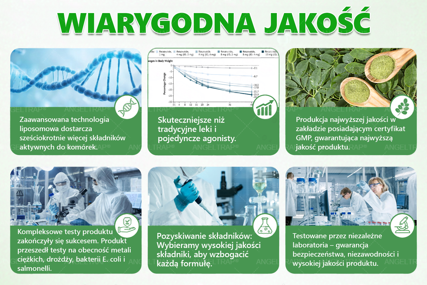 💜💜💜💜ANGELTRAP® Moringa × Berberyna × AMPK 10-w-1 Wsparcie metaboliczne, plaster z nanotechnologią mikroigłową 🇵🇱(Wystarczy raz dziennie, widoczne efekty w 7 dni) ✅ Na otyłość, wiotką skórę, cukrzycę, bezdech senny, problemy ze stawami i wiele innych