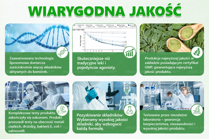 💜💜💜💜ANGELTRAP® Moringa × Berberyna × AMPK 10-w-1 Wsparcie metaboliczne, plaster z nanotechnologią mikroigłową 🇵🇱(Wystarczy raz dziennie, widoczne efekty w 7 dni) ✅ Na otyłość, wiotką skórę, cukrzycę, bezdech senny, problemy ze stawami i wiele innych