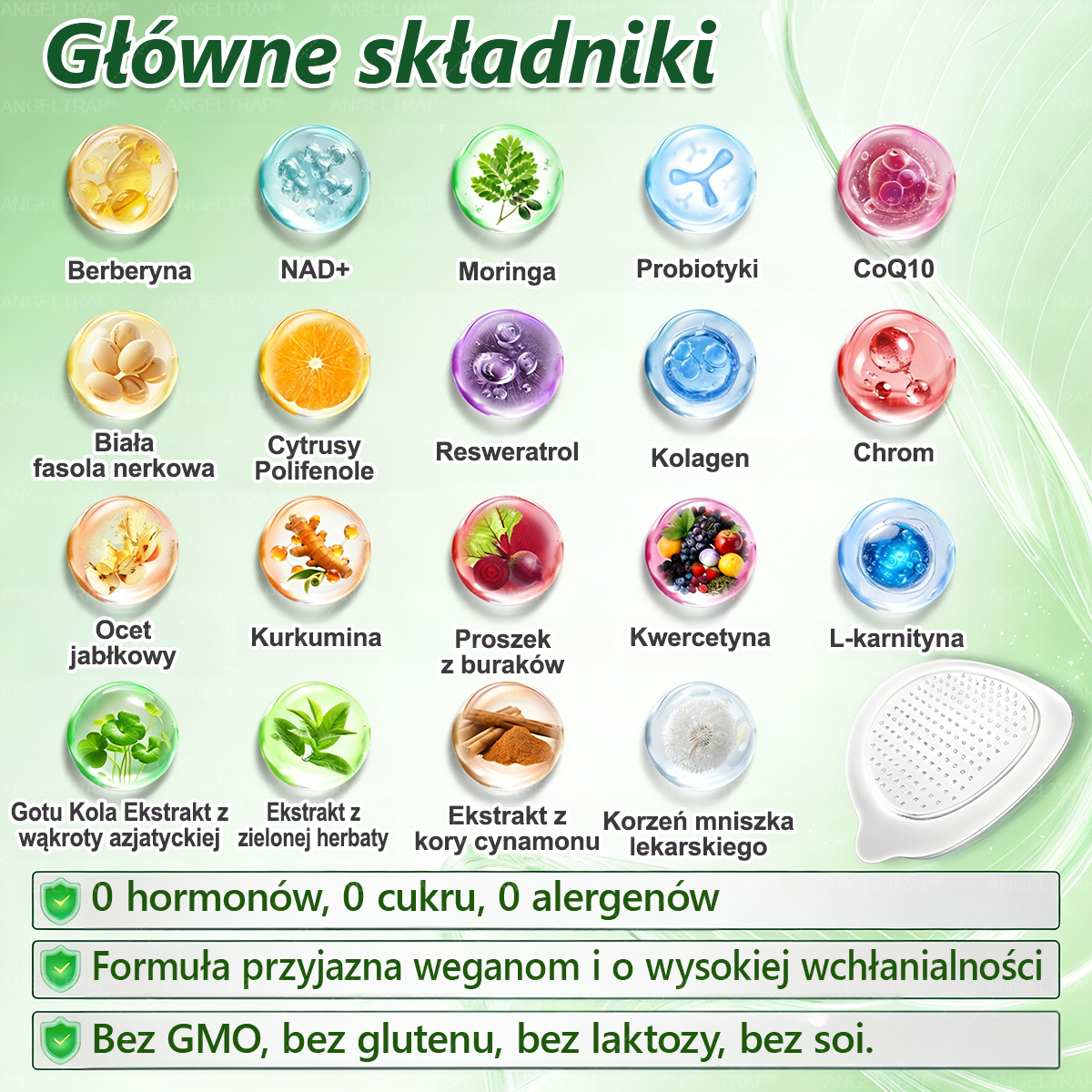 💜💜💜💜ANGELTRAP® Moringa × Berberyna × AMPK 10-w-1 Wsparcie metaboliczne, plaster z nanotechnologią mikroigłową 🇵🇱(Wystarczy raz dziennie, widoczne efekty w 7 dni) ✅ Na otyłość, wiotką skórę, cukrzycę, bezdech senny, problemy ze stawami i wiele innych